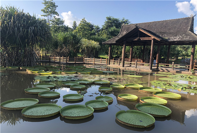 青島會(huì)議場(chǎng)地分類—青島會(huì)議旅游景色
