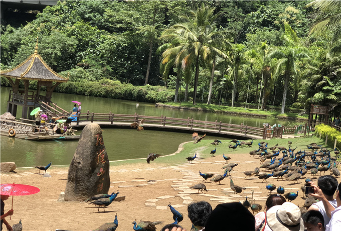 青島會(huì)議場(chǎng)地分類—青島會(huì)議旅游景色